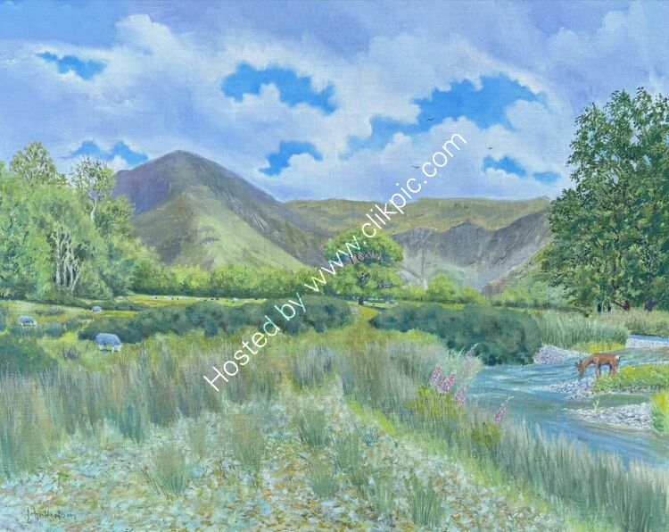 View to Fleetwith Pike