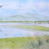 Bassenthwaite Water