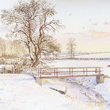 Card Footbridge over Bowbrook