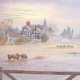Card Frosty morning Tibberton