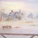 Card Frosty morning Tibberton, Worcestershire