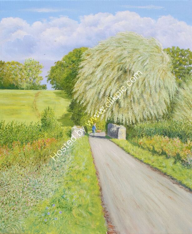 Card Froxmere willow, springtime