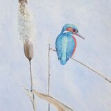 Card Kingfisher on bullrush