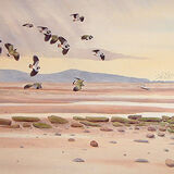 Card Lapwings, Dee estuary, Wirral