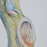 Card Nuthatch