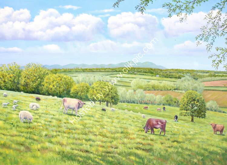 Card Sheepwalk, Castle Hill, Froxmere, Worcestershire