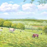 Card Sheepwalk, Castle Hill, Froxmere, Worcestershire