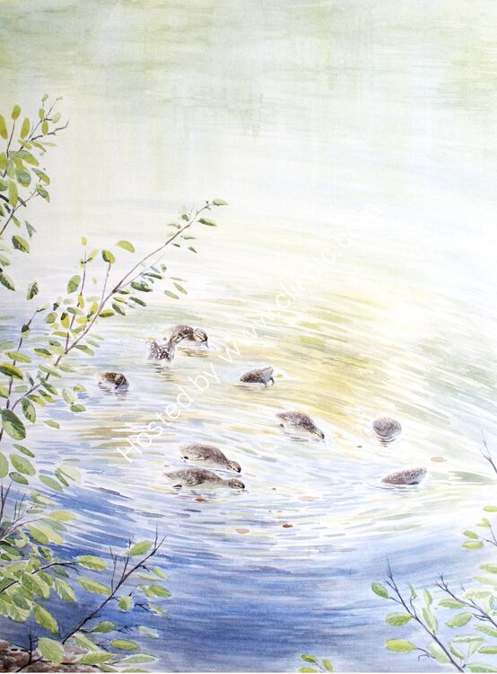 Card Sunlit dabblers