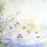 Card Sunlit dabblers