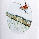 Card Wren and Snowdrops