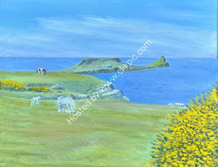 Card Ponies Worms Head