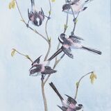 Card Long tailed tits on Spring hazel