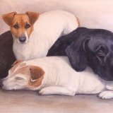 Cinders Smudge and Jess