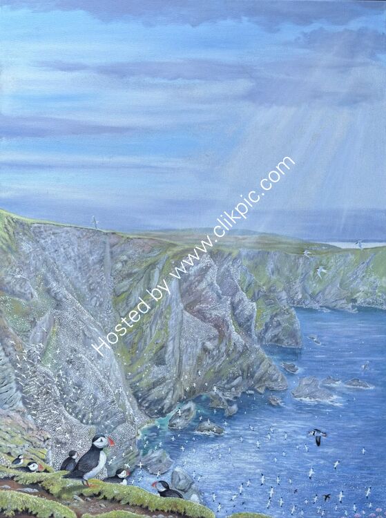 Hermaness cliffs, Unst, Shetland
