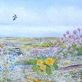 Lapwing and flora