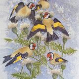 Goldfinches on thistle