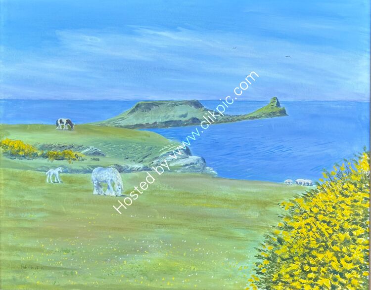 May gorse, Wormshead