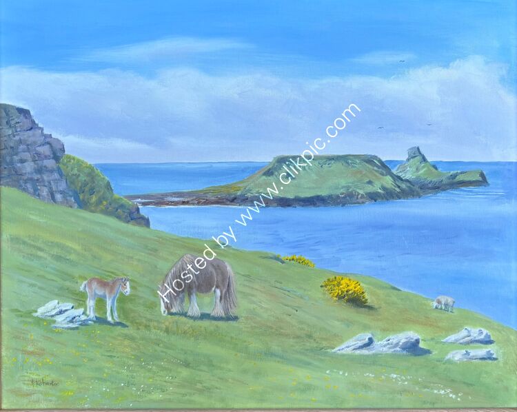Mare and foal and view to Wormshead