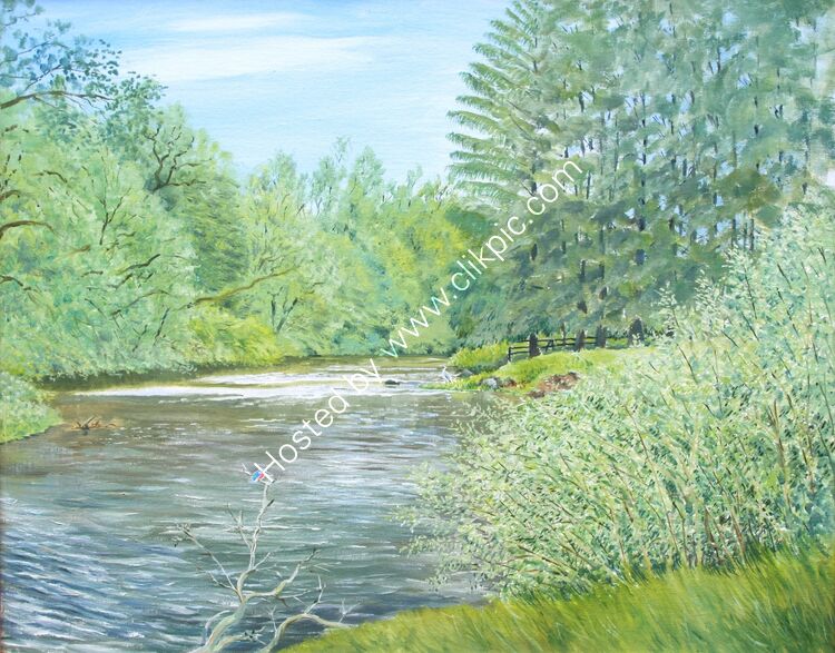 Kingfisher, River Cocker