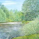 Kingfisher, River Cocker