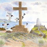 Oystercatchers, Llanddwyn Island