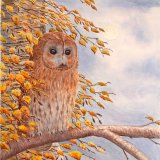 Twilight Tawny