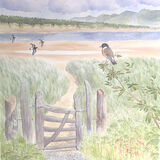 Stonechat Llanddwyn 5
