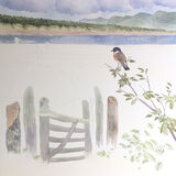 Stonechat Llanddwyn 3
