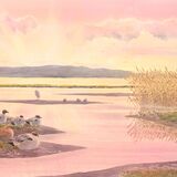 The roost