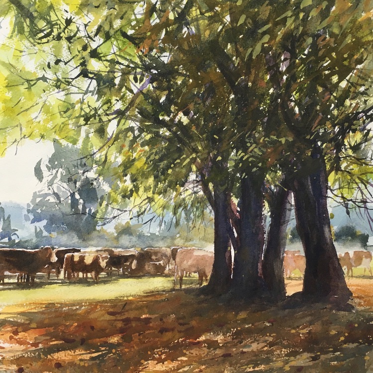 Dartmoor