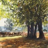 Dartmoor