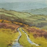 Exmoor