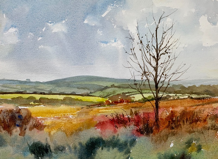 Exmoor