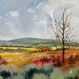 Exmoor
