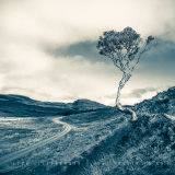 Twisted