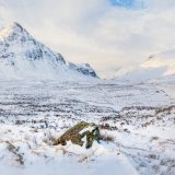 Into Glencoe