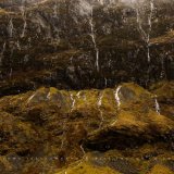 Rivulets