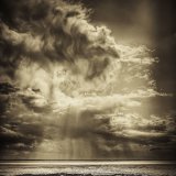 Spurn Storm