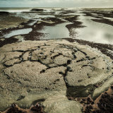Rock Patterns, Saltwick Bay, North Yorkshire,UK