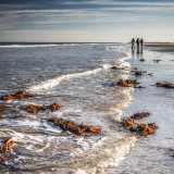 Bamburgh Beach Walk