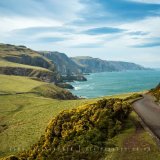Glorious St Abb's Head, Scotland