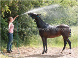 Cooling Off