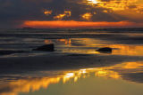 Seals at Sunrise