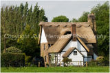 Thatched Cottage