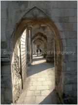The Cloisters, Winchester Cathedral