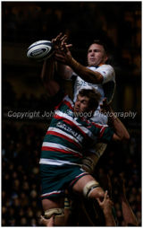 Tigers vs South Africa