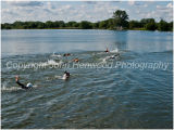 Open water Swim
