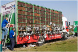 Pigeon Racing