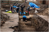 King Richard III Dig