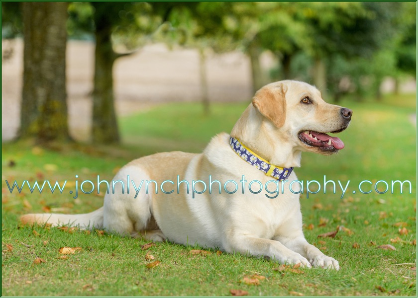 FAMILY PHOTO SESSIONS ASHFORD KENT PHOTOGRAPHER